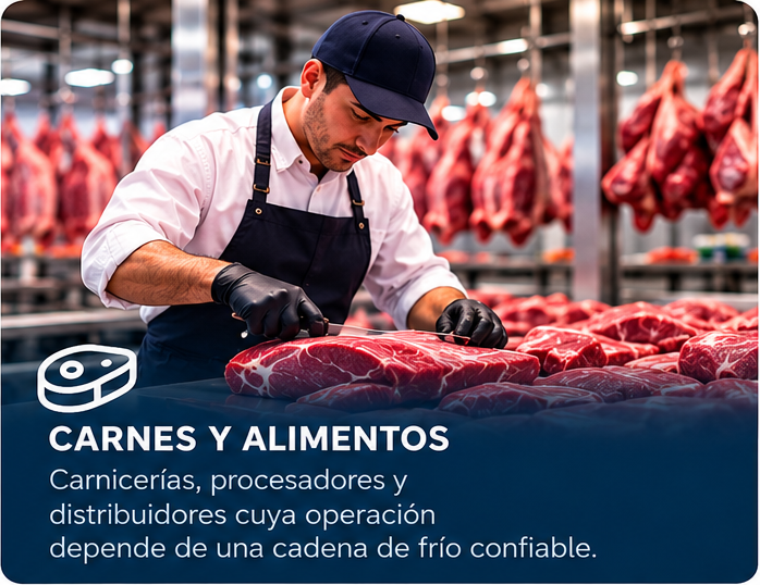 Carnes y Alimentos